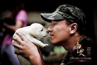神犬奇兵在线观看,忠诚守护,勇闯天涯的军犬传奇  第3张 神犬奇兵在线观看,忠诚守护,勇闯天涯的军犬传奇  第3张