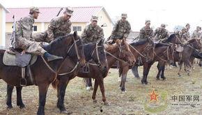 骑兵连在线观看,重温经典战火岁月  第3张 骑兵连在线观看,重温经典战火岁月  第3张
