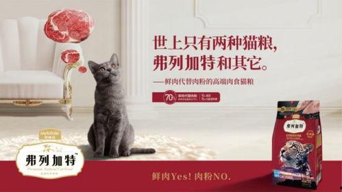 弗列加特最新爆料,尖端科技引领未来军事变革  第1张 弗列加特最新爆料,尖端科技引领未来军事变革  第1张