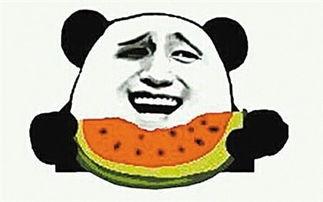 娱乐吃瓜君爆料遛鸟,遛鸟背后的明星趣事大揭秘  第2张 娱乐吃瓜君爆料遛鸟,遛鸟背后的明星趣事大揭秘  第2张