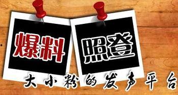 兰州新闻爆料平台官网,聚焦城市脉搏,传递市民声音