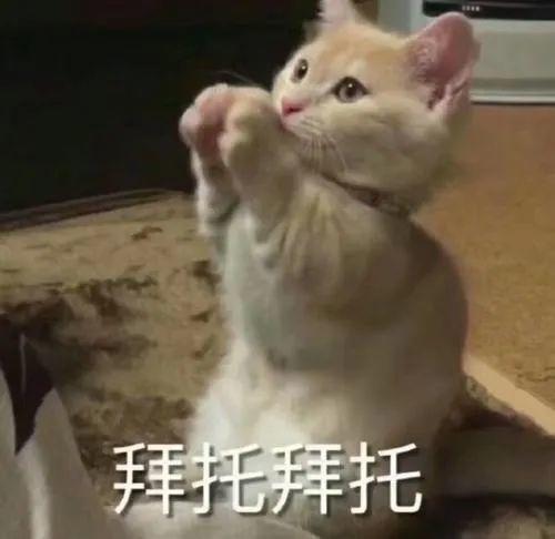 网红吃瓜事件视频,揭秘幕后真相与网络舆论风暴  第3张 网红吃瓜事件视频,揭秘幕后真相与网络舆论风暴  第3张