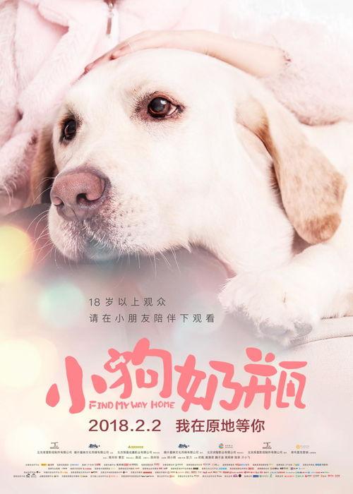 小狗奶瓶在线观看,温馨治愈的宠物成长记  第2张 小狗奶瓶在线观看,温馨治愈的宠物成长记  第2张