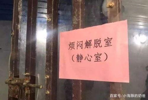 书院事件爆料视频,揭秘背后真相与争议  第2张